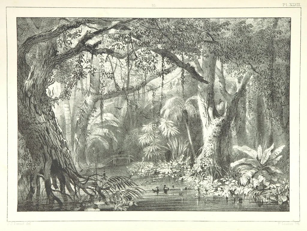 An illustration from Kolonisatie van Europeanen te Suriname. Opheffing van het pauperisme, ontwikkeling van handel en industrie, met ongeveer 90 platen, 1872, leaf 249