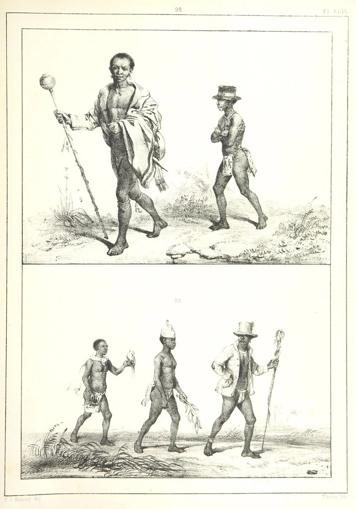 An illustration from Kolonisatie van Europeanen te Suriname. Opheffing van het pauperisme, ontwikkeling van handel en industrie, met ongeveer 90 platen, 1872, leaf 253