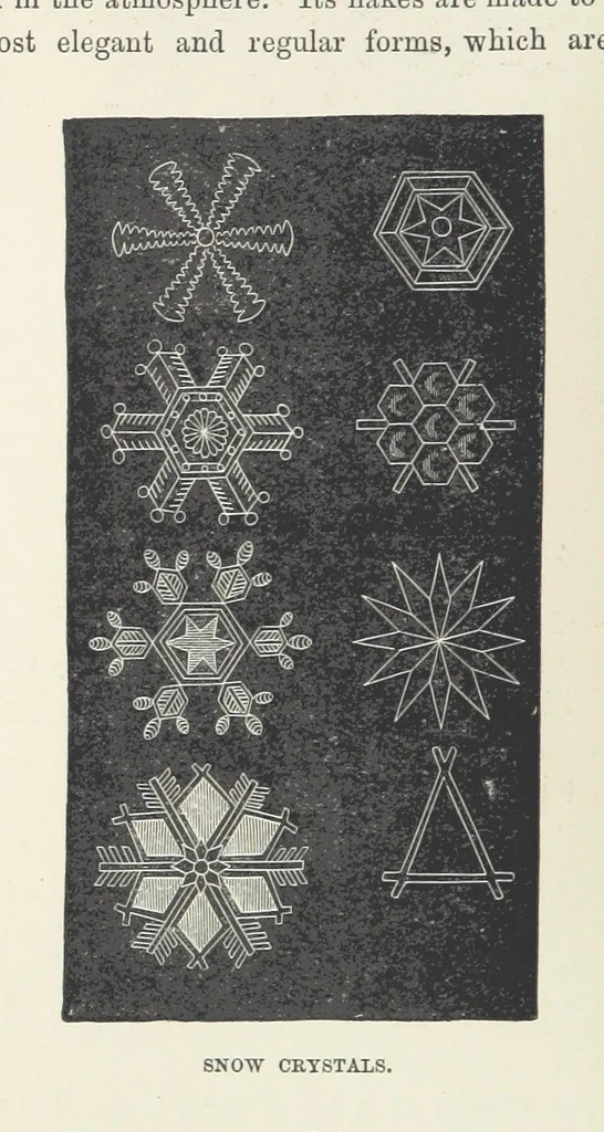 An illustration from The Half Hour Library of Travel, Nature and Science for young readers, 1896, leaf 112