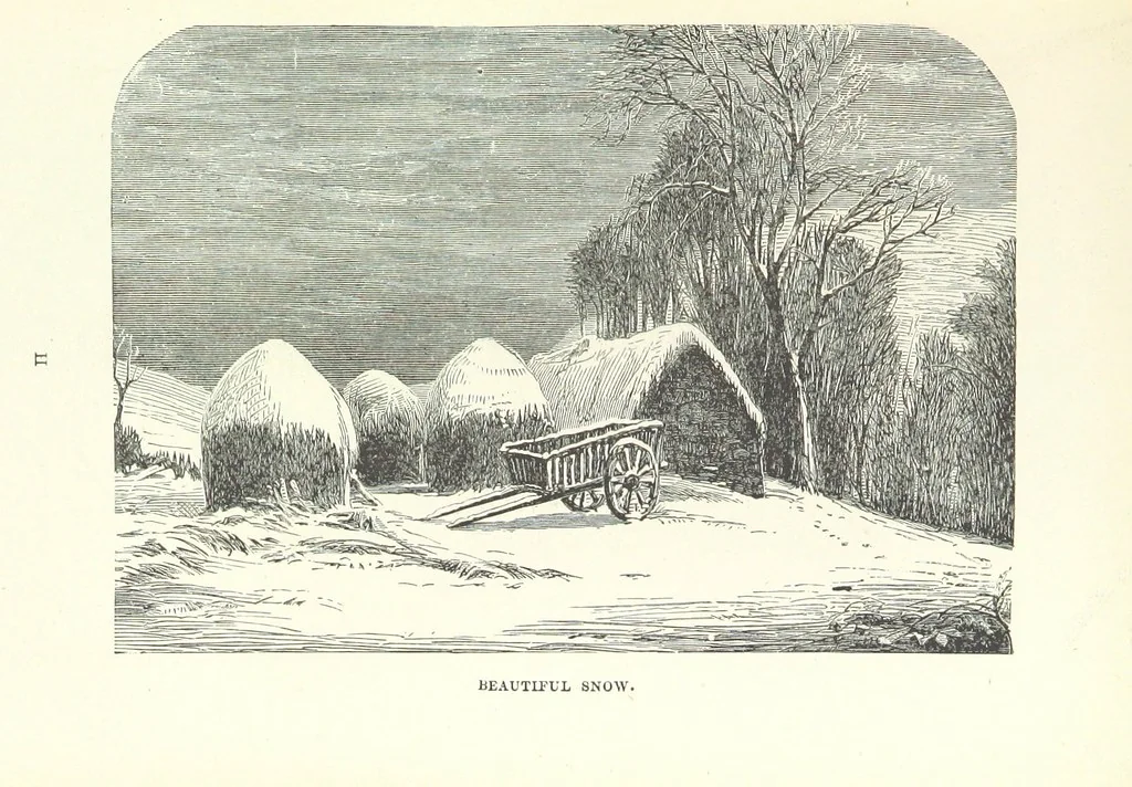 An illustration from The Half Hour Library of Travel, Nature and Science for young readers, 1896, leaf 113