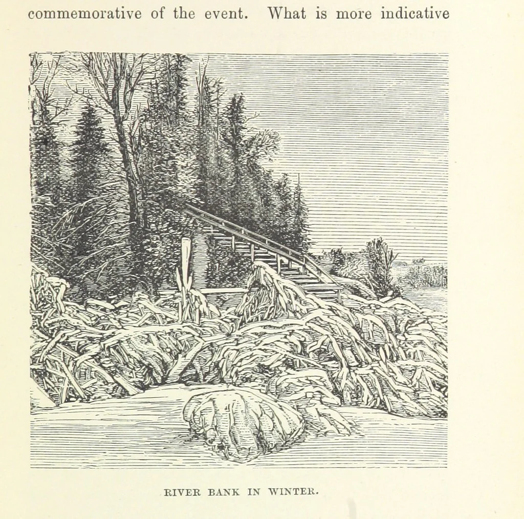An illustration from The Half Hour Library of Travel, Nature and Science for young readers, 1896, leaf 127