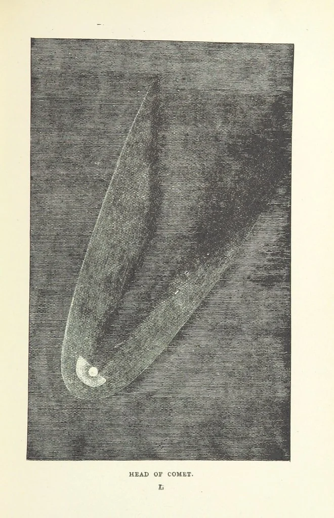 An illustration from The Half Hour Library of Travel, Nature and Science for young readers, 1896, leaf 161