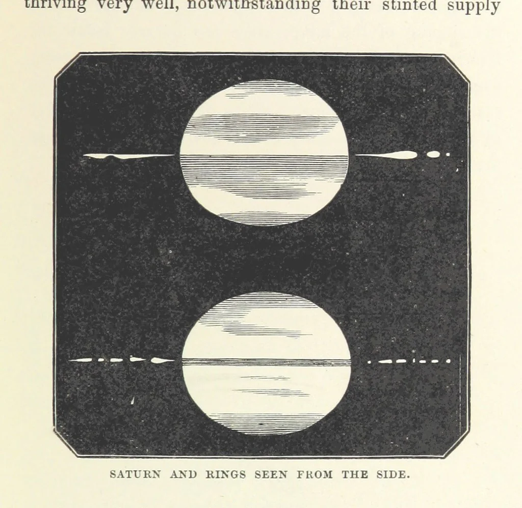 An illustration from The Half Hour Library of Travel, Nature and Science for young readers, 1896, leaf 169