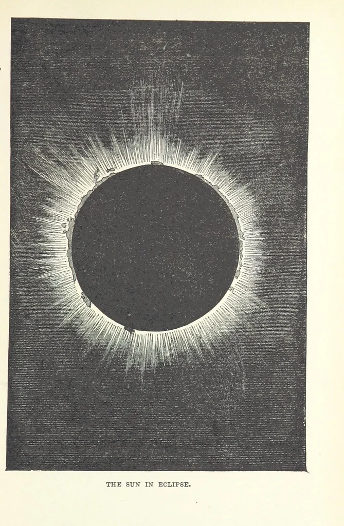 An illustration from The Half Hour Library of Travel, Nature and Science for young readers, 1896, leaf 247