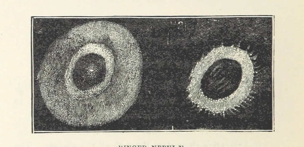 An illustration from The Half Hour Library of Travel, Nature and Science for young readers, 1896, leaf 292