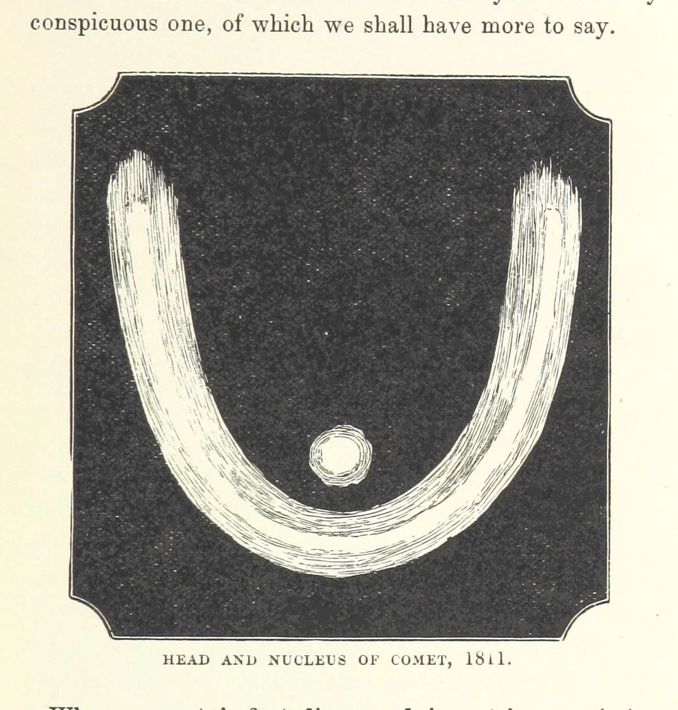 An illustration from The Half Hour Library of Travel, Nature and Science for young readers, 1896, leaf 303