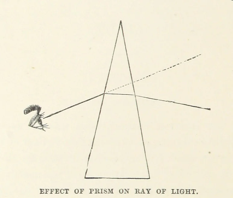 An illustration from The Half Hour Library of Travel, Nature and Science for young readers, 1896, leaf 328