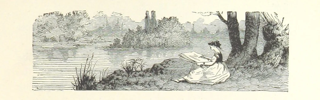 An illustration from The Half Hour Library of Travel, Nature and Science for young readers, 1896, leaf 341