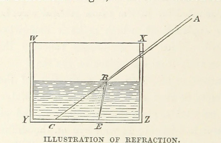 An illustration from The Half Hour Library of Travel, Nature and Science for young readers, 1896, leaf 360
