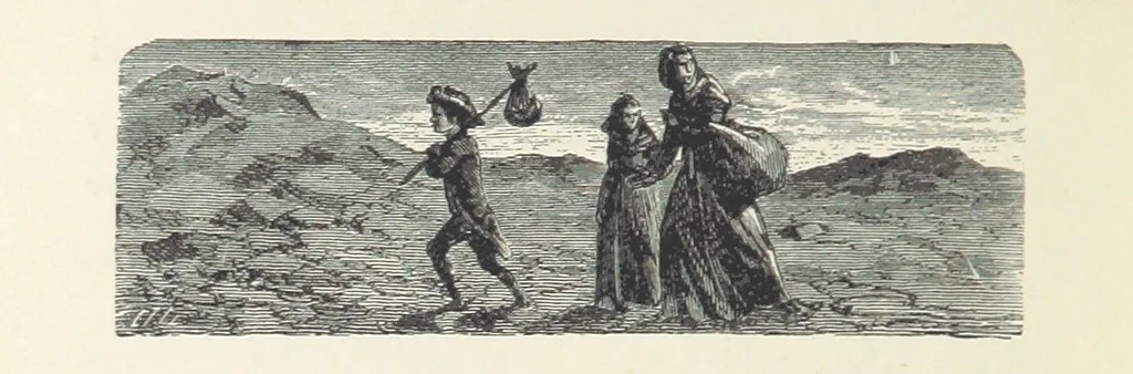 An illustration from The Half Hour Library of Travel, Nature and Science for young readers, 1896, leaf 382