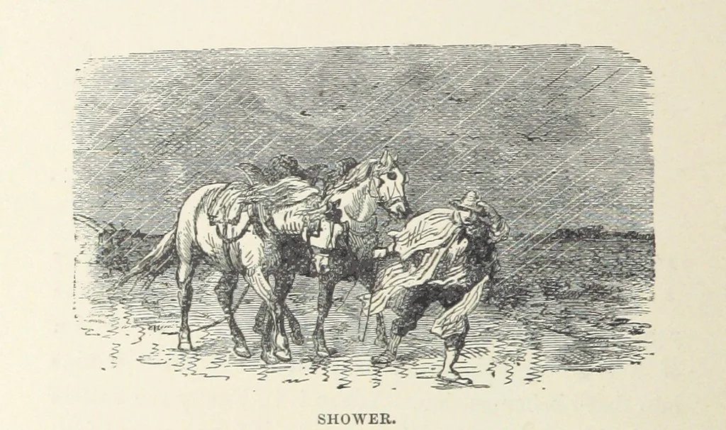 An illustration from The Half Hour Library of Travel, Nature and Science for young readers, 1896, leaf 88