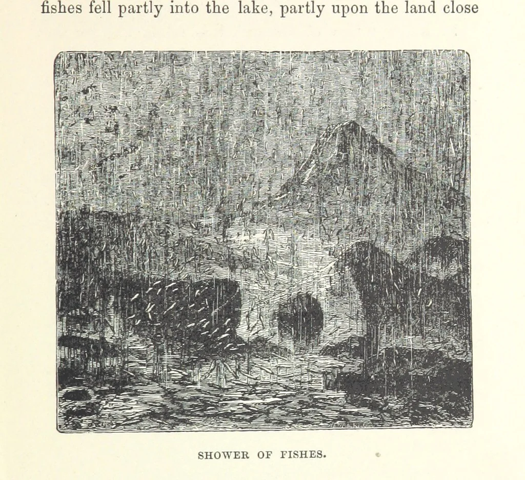 An illustration from The Half Hour Library of Travel, Nature and Science for young readers, 1896, leaf 97