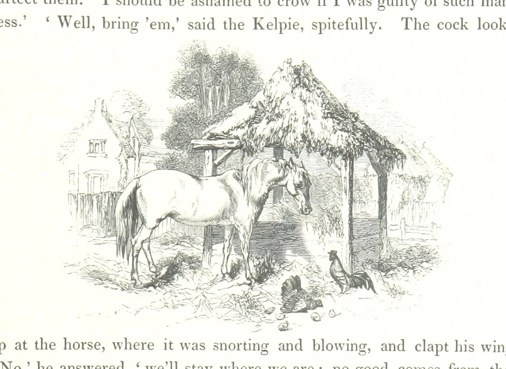 An illustration from Midsummer Eve: a fairy tale of love, 1848, leaf 113