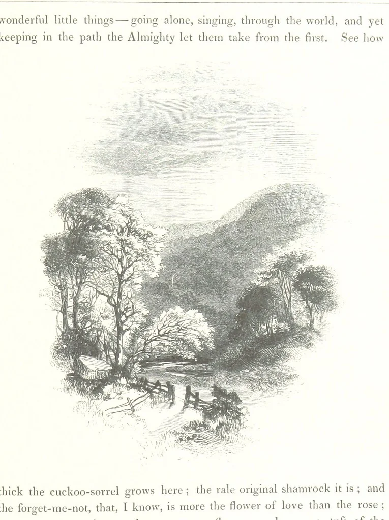 An illustration from Midsummer Eve: a fairy tale of love, 1848, leaf 151