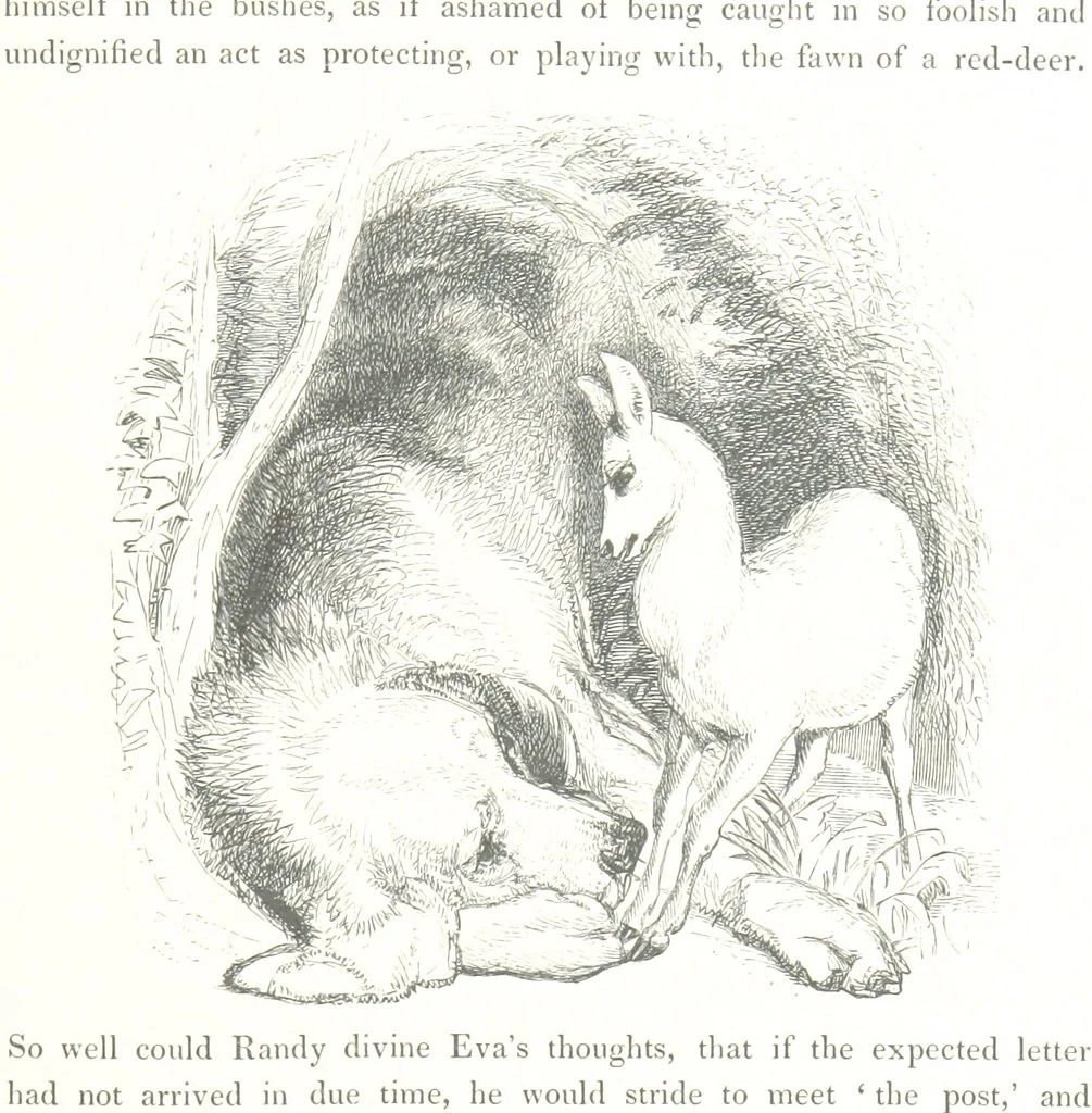 An illustration from Midsummer Eve: a fairy tale of love, 1848, leaf 165