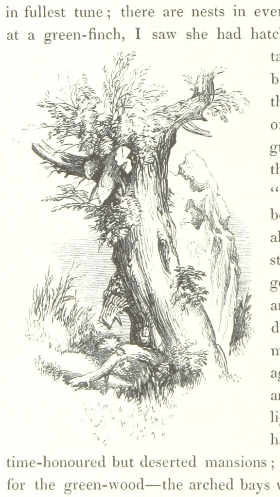 An illustration from Midsummer Eve: a fairy tale of love, 1848, leaf 192