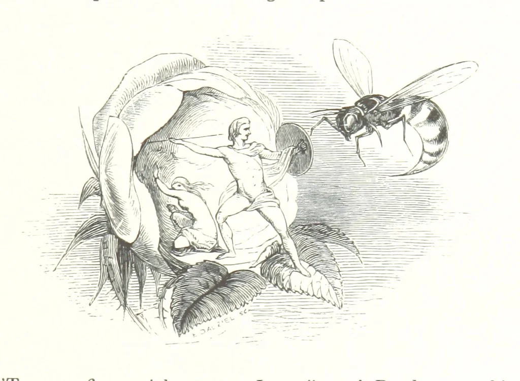An illustration from Midsummer Eve: a fairy tale of love, 1848, leaf 193