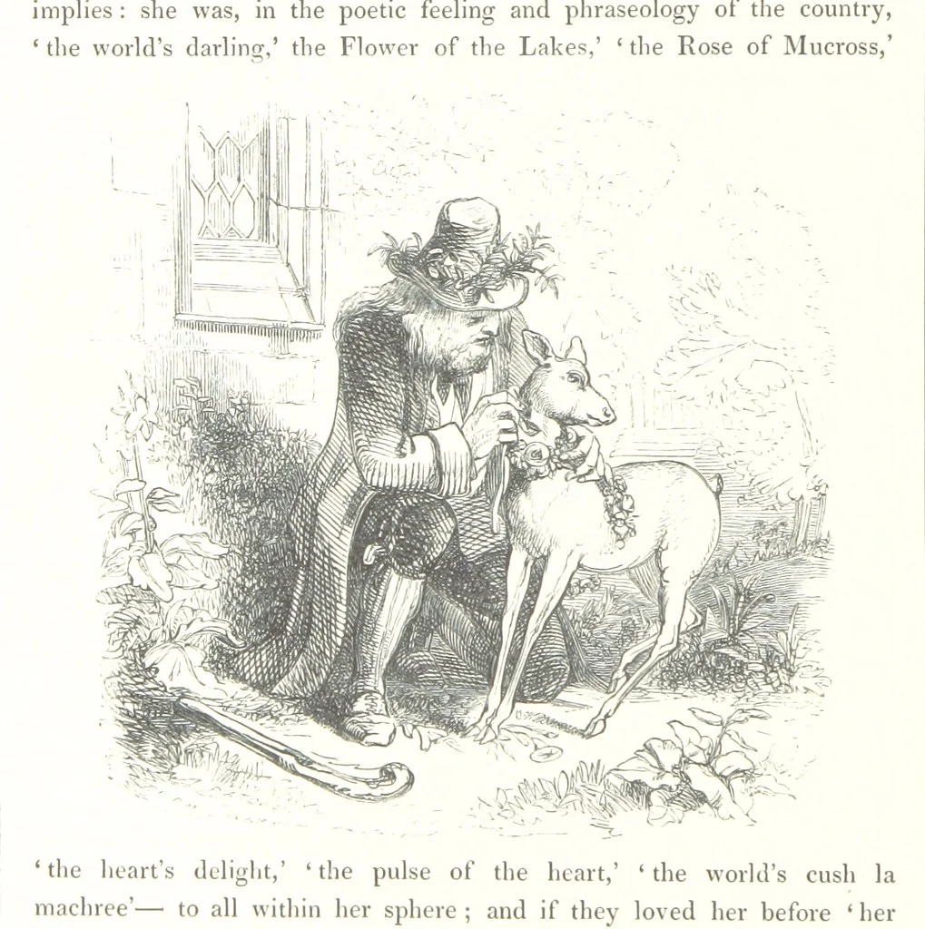 An illustration from Midsummer Eve: a fairy tale of love, 1848, leaf 196