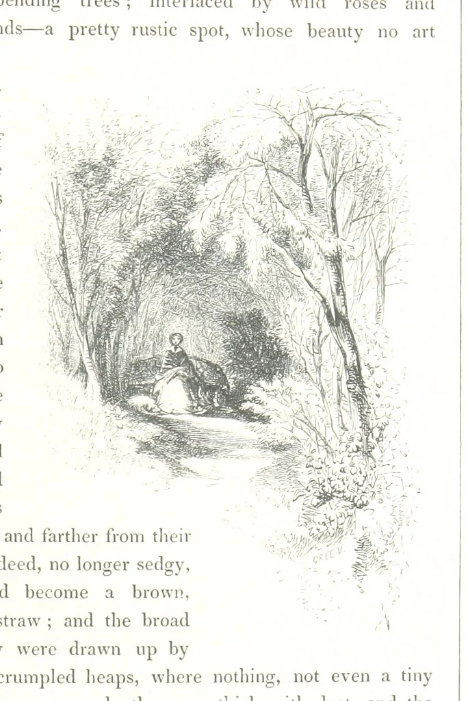 An illustration from Midsummer Eve: a fairy tale of love, 1848, leaf 201