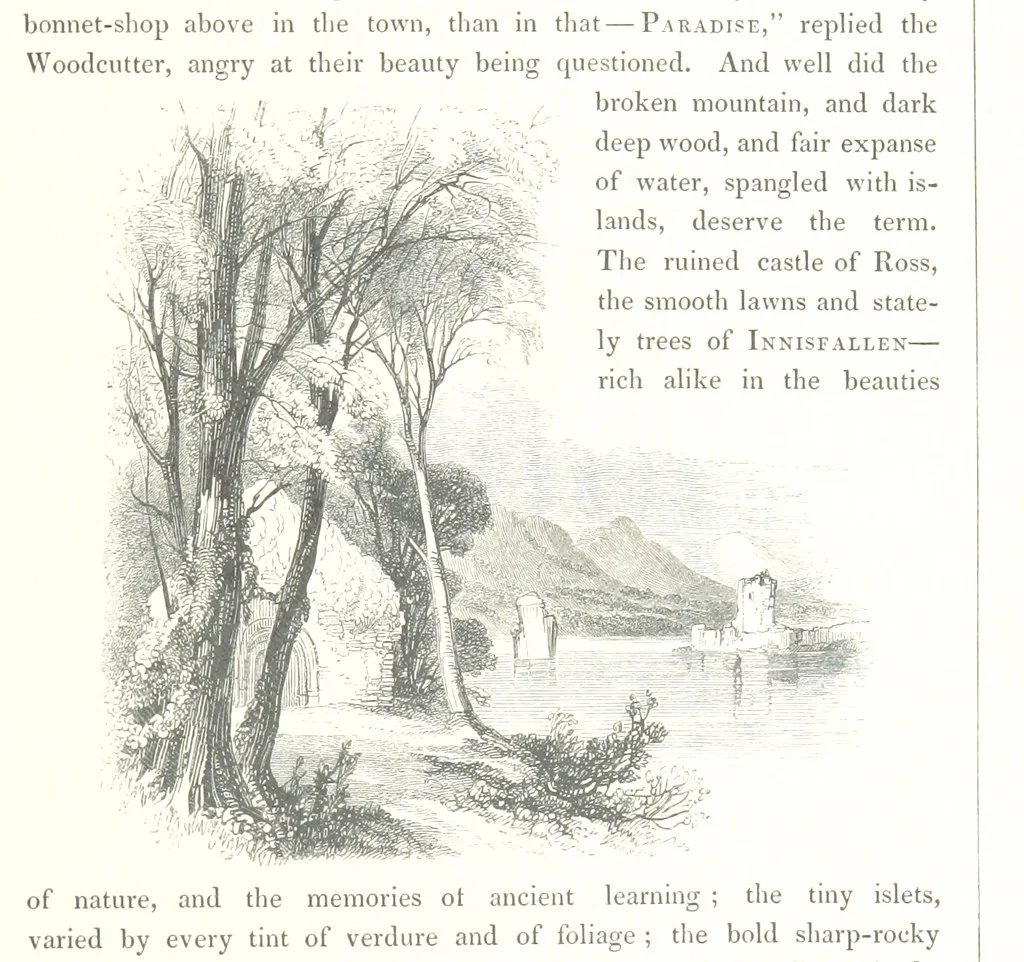 An illustration from Midsummer Eve: a fairy tale of love, 1848, leaf 215