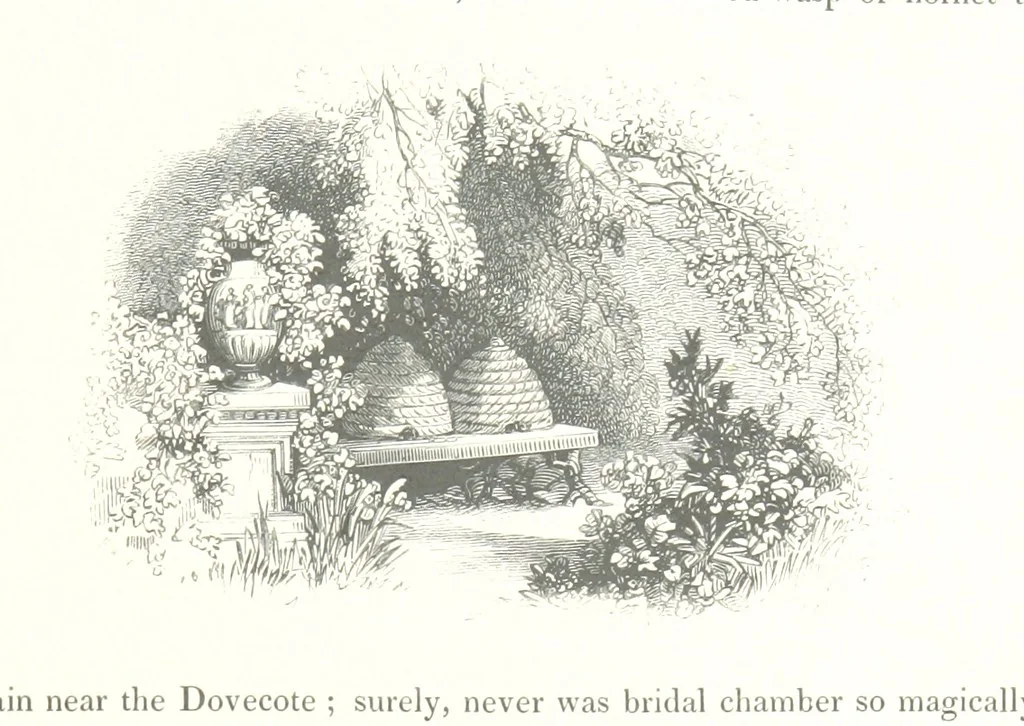 An illustration from Midsummer Eve: a fairy tale of love, 1848, leaf 229