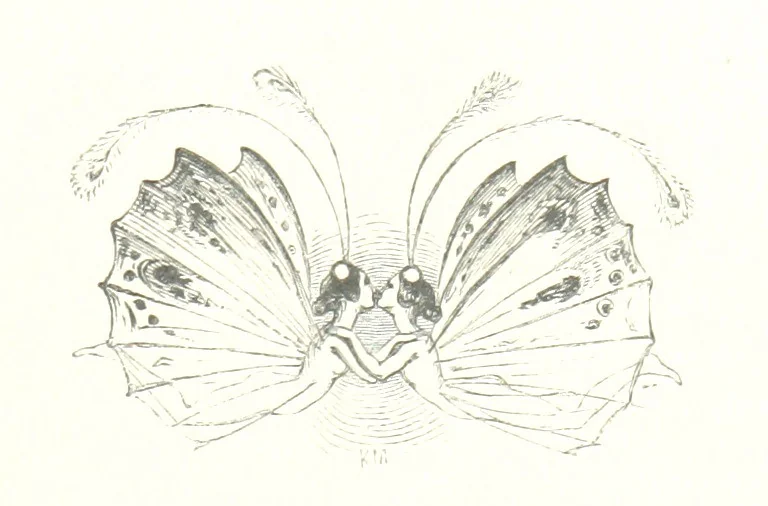 An illustration from Midsummer Eve: a fairy tale of love, 1848, leaf 23