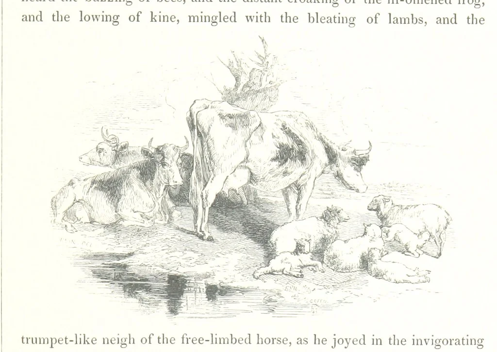 An illustration from Midsummer Eve: a fairy tale of love, 1848, leaf 243