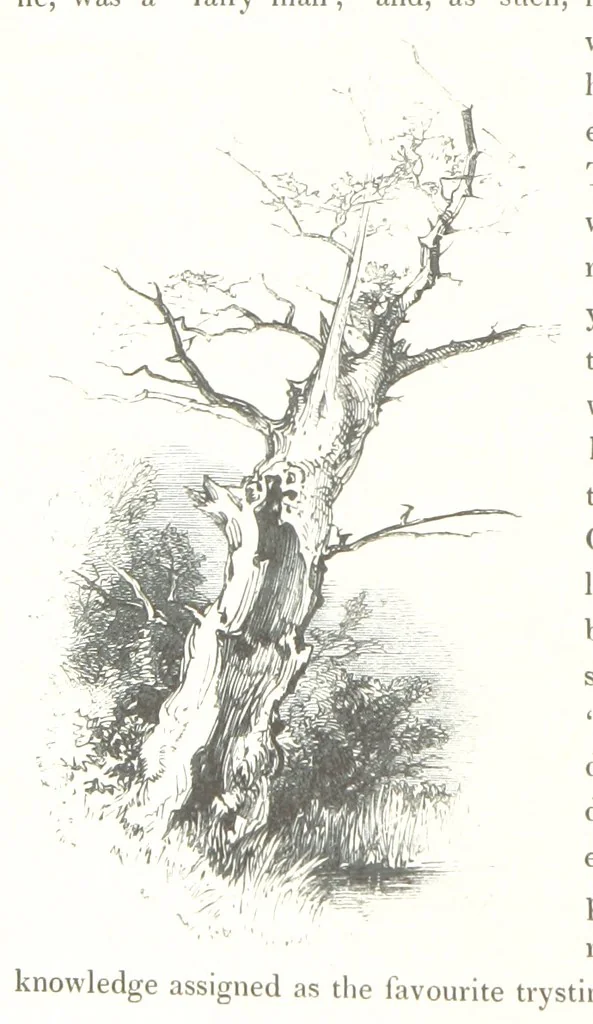 An illustration from Midsummer Eve: a fairy tale of love, 1848, leaf 30
