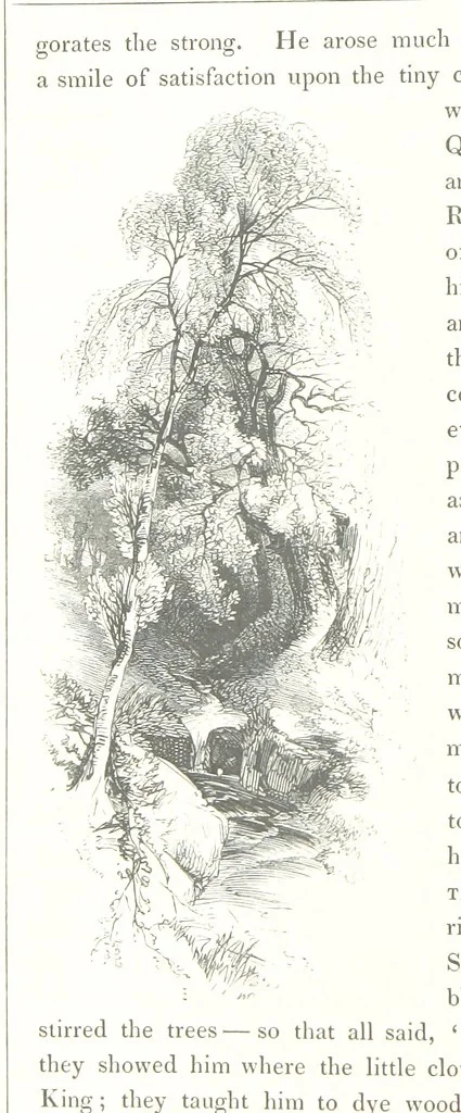 An illustration from Midsummer Eve: a fairy tale of love, 1848, leaf 38