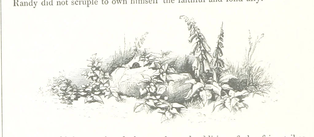 An illustration from Midsummer Eve: a fairy tale of love, 1848, leaf 40