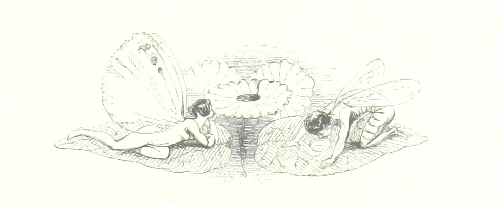 An illustration from Midsummer Eve: a fairy tale of love, 1848, leaf 49