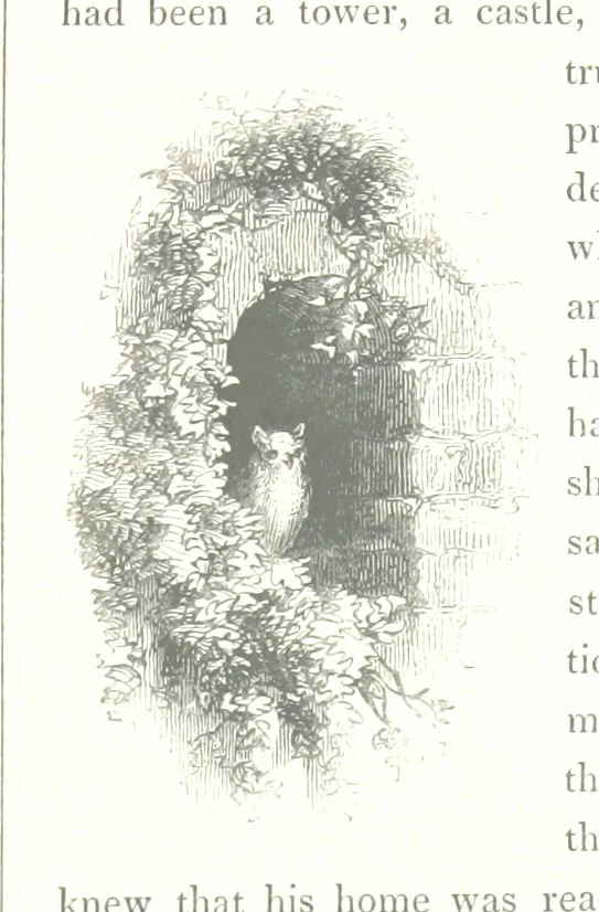 An illustration from Midsummer Eve: a fairy tale of love, 1848, leaf 51