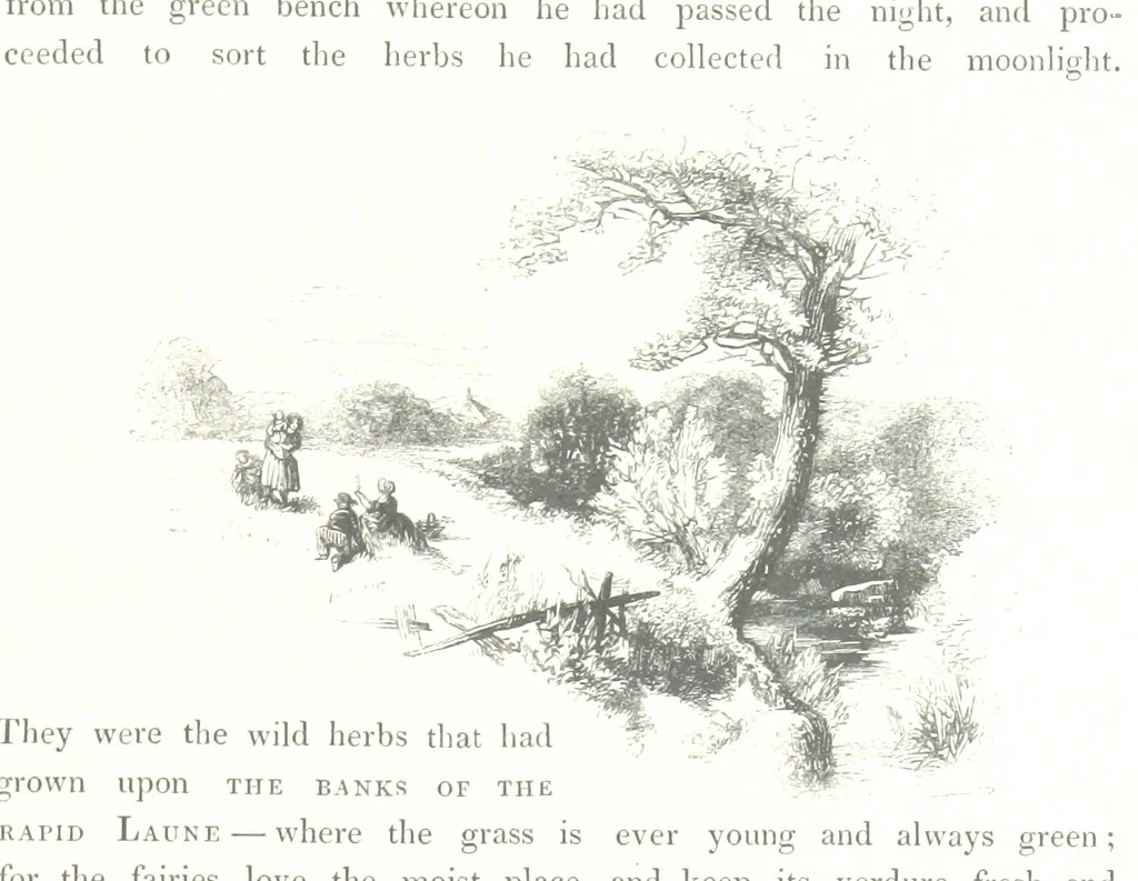 An illustration from Midsummer Eve: a fairy tale of love, 1848, leaf 55