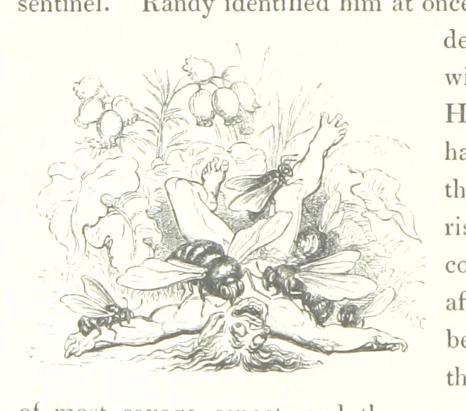 An illustration from Midsummer Eve: a fairy tale of love, 1848, leaf 72