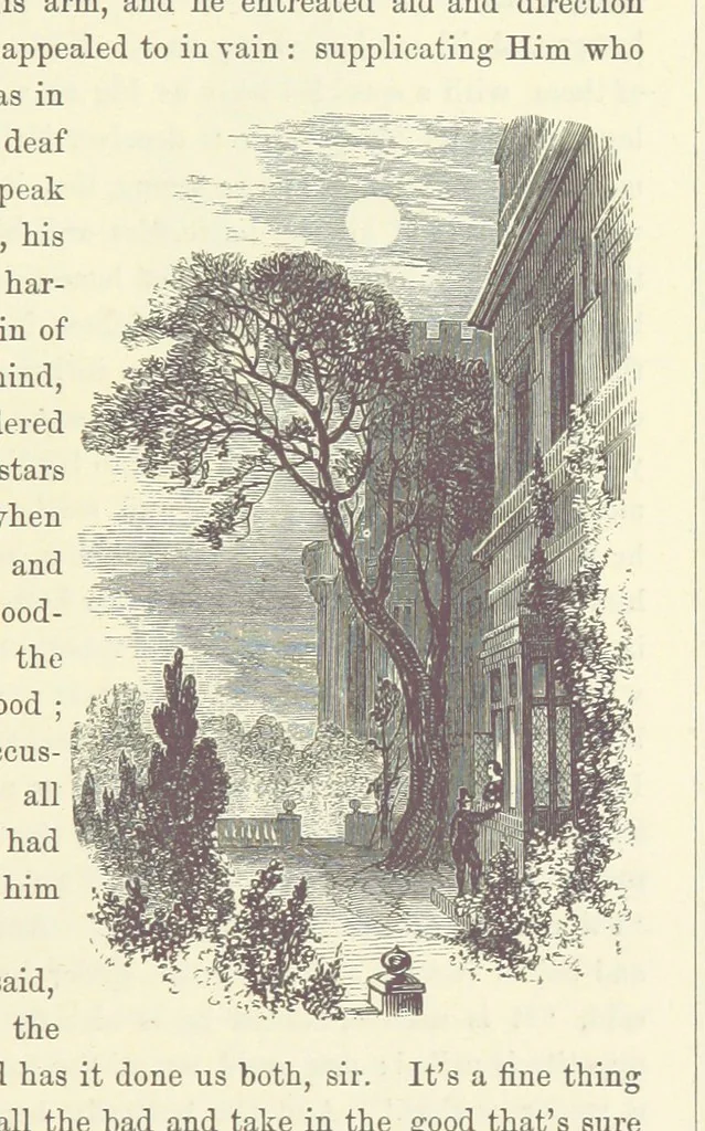 An illustration from Midsummer Eve: a fairy tale of love, 1870, leaf 101