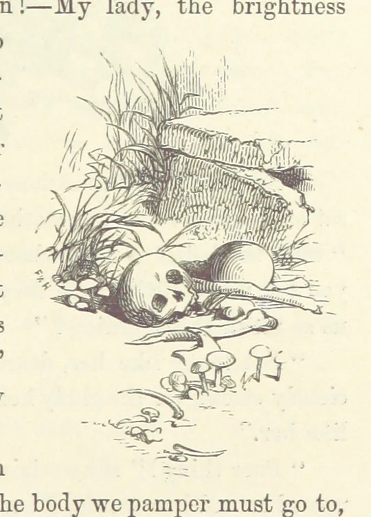 An illustration from Midsummer Eve: a fairy tale of love, 1870, leaf 119