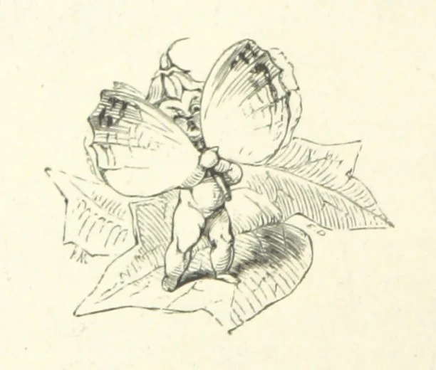 An illustration from Midsummer Eve: a fairy tale of love, 1870, leaf 126