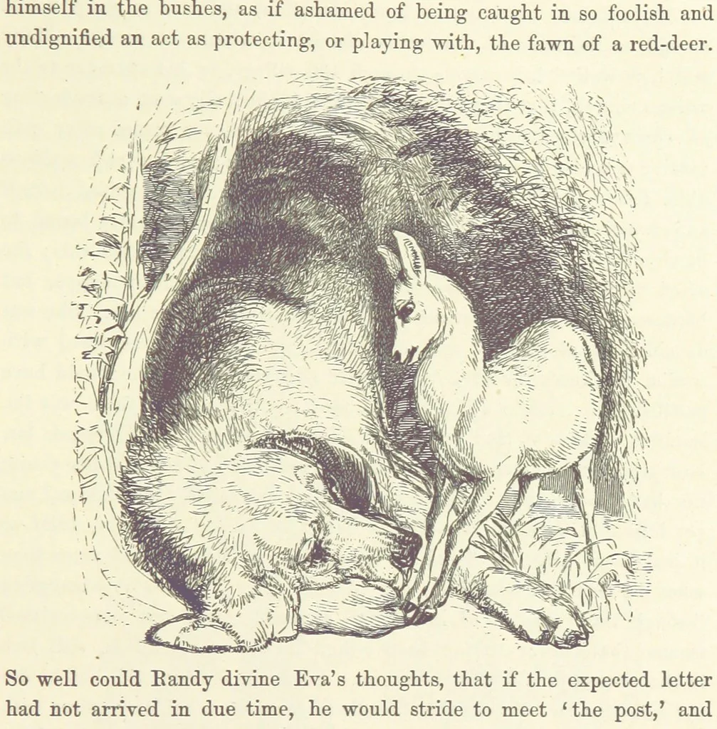 An illustration from Midsummer Eve: a fairy tale of love, 1870, leaf 159