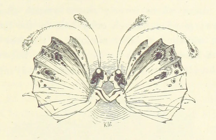 An illustration from Midsummer Eve: a fairy tale of love, 1870, leaf 17