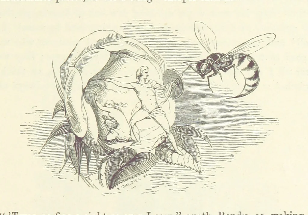 An illustration from Midsummer Eve: a fairy tale of love, 1870, leaf 187