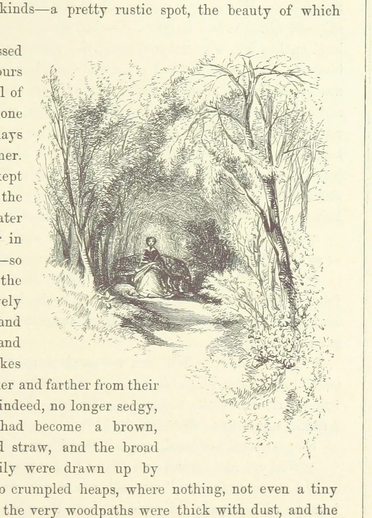 An illustration from Midsummer Eve: a fairy tale of love, 1870, leaf 195