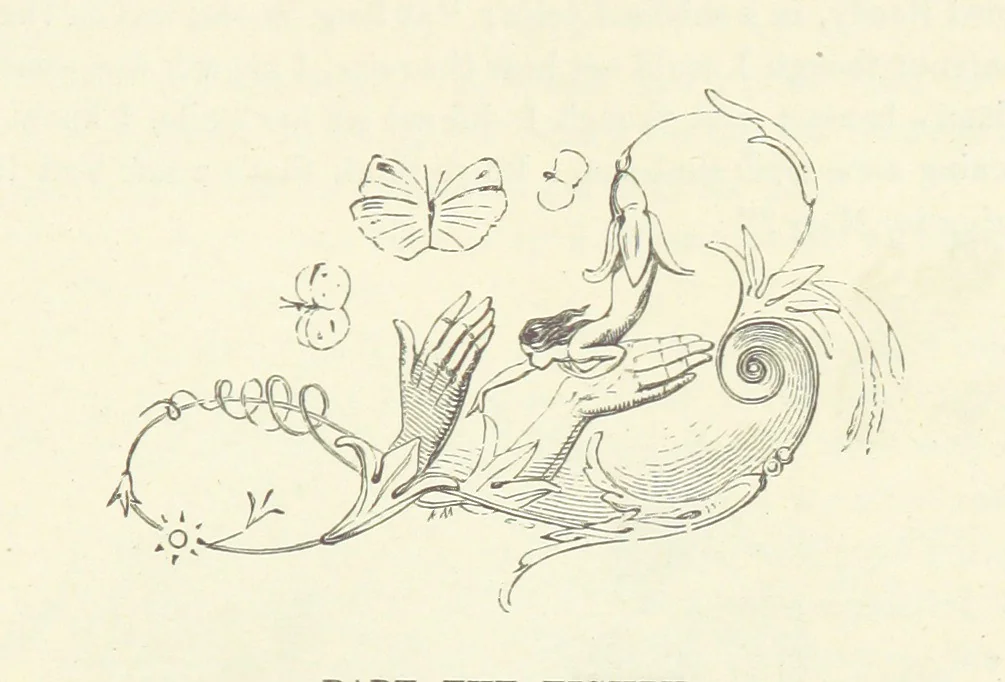 An illustration from Midsummer Eve: a fairy tale of love, 1870, leaf 207