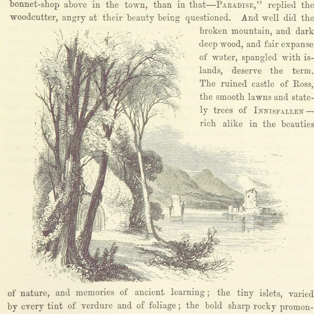 An illustration from Midsummer Eve: a fairy tale of love, 1870, leaf 209