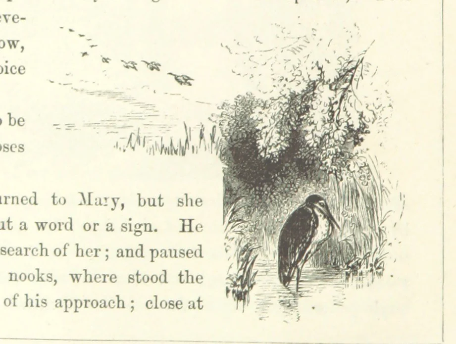 An illustration from Midsummer Eve: a fairy tale of love, 1870, leaf 210