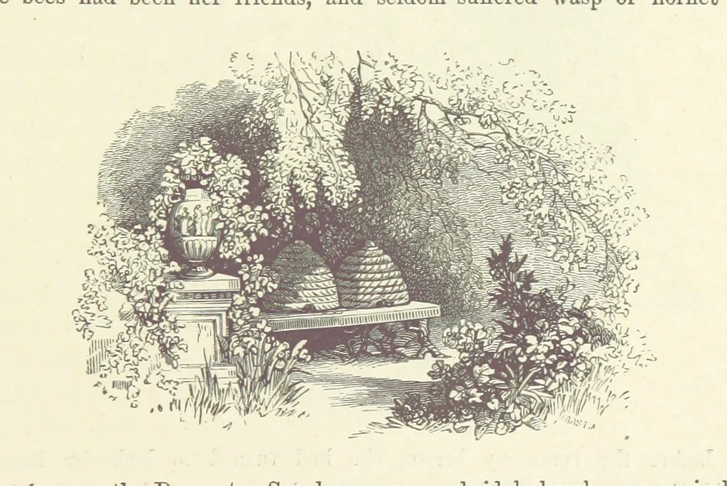 An illustration from Midsummer Eve: a fairy tale of love, 1870, leaf 223
