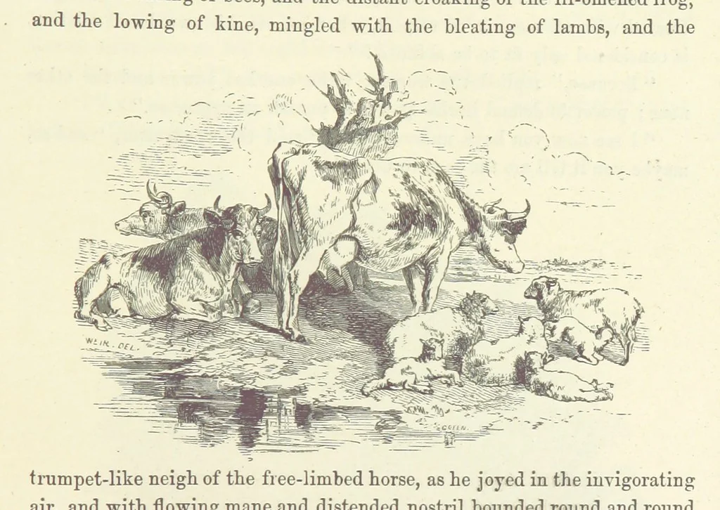 An illustration from Midsummer Eve: a fairy tale of love, 1870, leaf 237