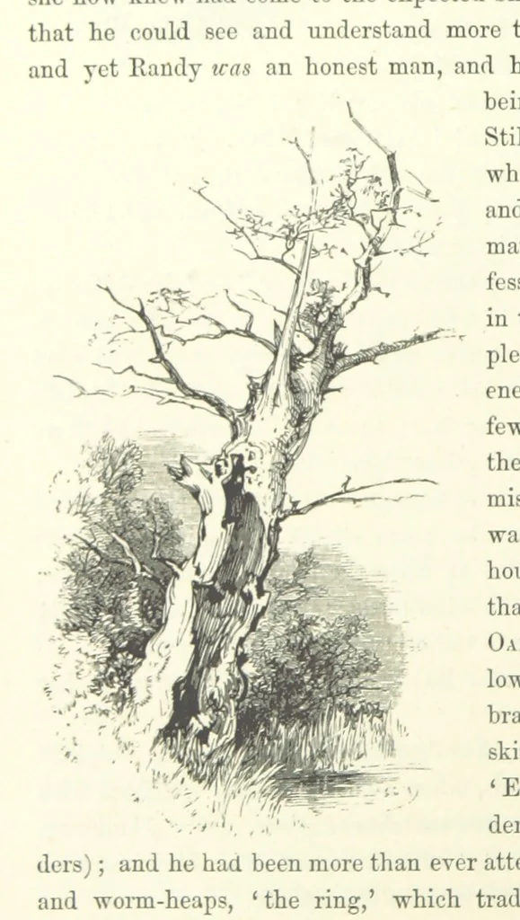 An illustration from Midsummer Eve: a fairy tale of love, 1870, leaf 24
