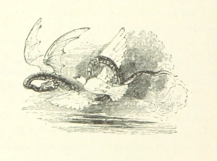 An illustration from Midsummer Eve: a fairy tale of love, 1870, leaf 256
