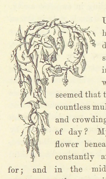 An illustration from Midsummer Eve: a fairy tale of love, 1870, leaf 287