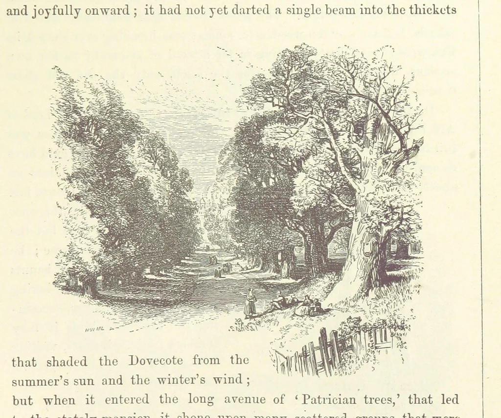 An illustration from Midsummer Eve: a fairy tale of love, 1870, leaf 291